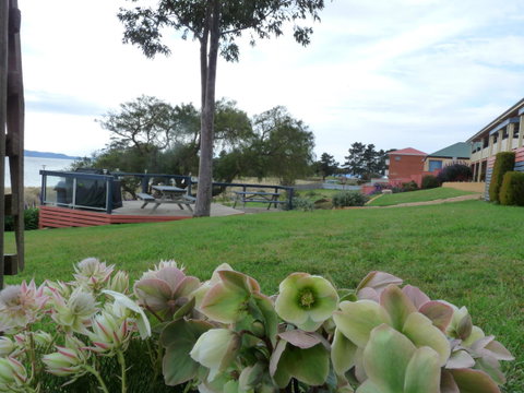 Swansea Motor Inn Tasmania - Accommodation VIC 17