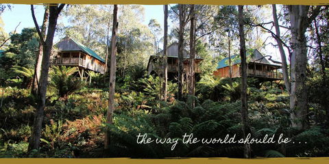 Lemonthyme Wilderness Retreat - Accommodation VIC 20