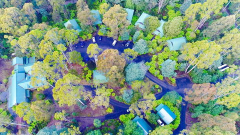 Lemonthyme Wilderness Retreat - Accommodation VIC 1