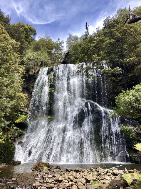 Lemonthyme Wilderness Retreat - Accommodation VIC 9