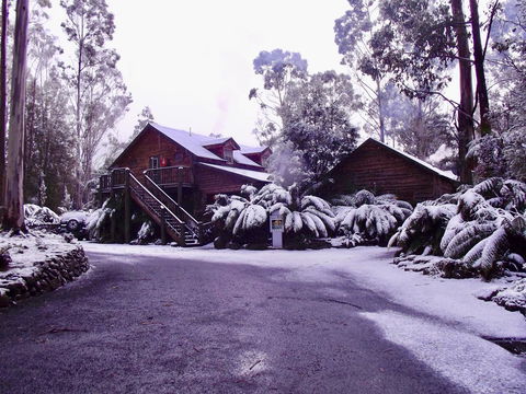 Lemonthyme Wilderness Retreat - Accommodation VIC 12