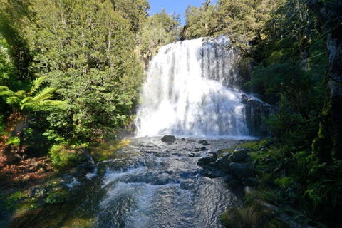 Lemonthyme Wilderness Retreat - Accommodation VIC 19