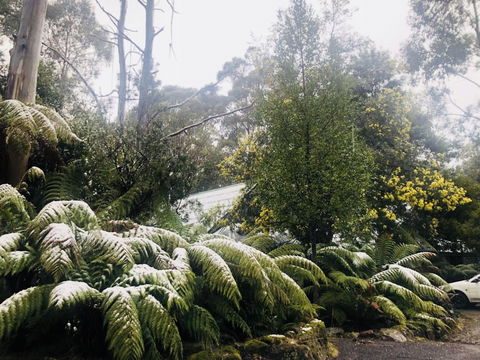 Lemonthyme Wilderness Retreat - Accommodation VIC 16