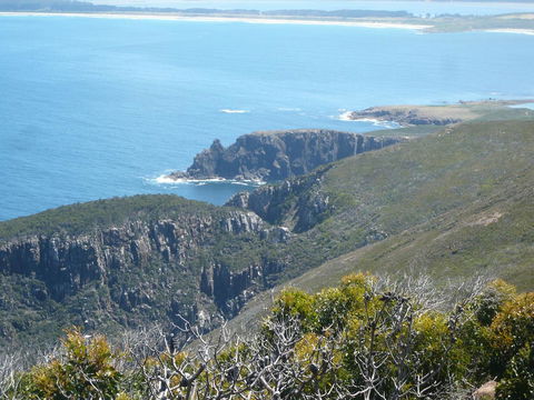 Cloudy Bay Beach House - Accommodation VIC 26