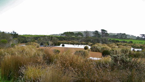Cloudy Bay Beach House - Accommodation VIC 19