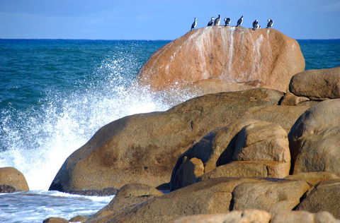 Cloudy Bay Beach House - Accommodation VIC 29