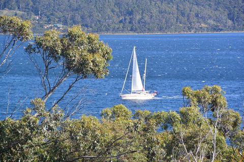 The Tree House - Accommodation VIC 5