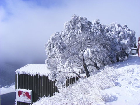 Arlberg Hotham - Accommodation VIC 15