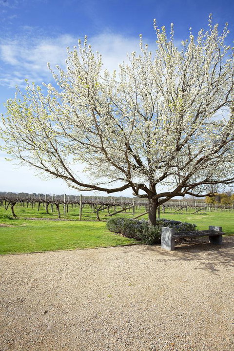Lancemore Milawa - Accommodation VIC 12