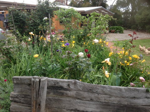 Mud Hollow Barn - Accommodation VIC 12