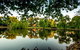 BIG4 Castlemaine Gardens - thumb 19