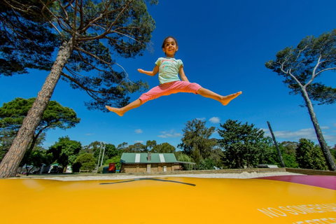 BIG4 Castlemaine Gardens - Accommodation VIC 21