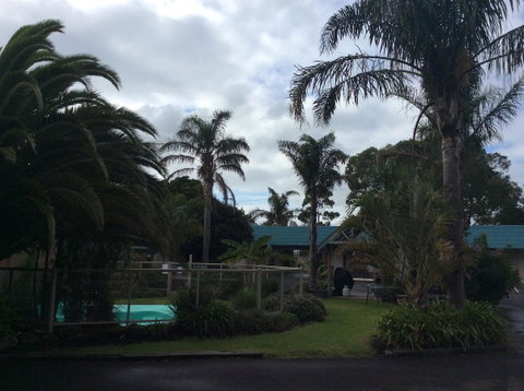 Tropicana Motor Inn - Accommodation VIC 37