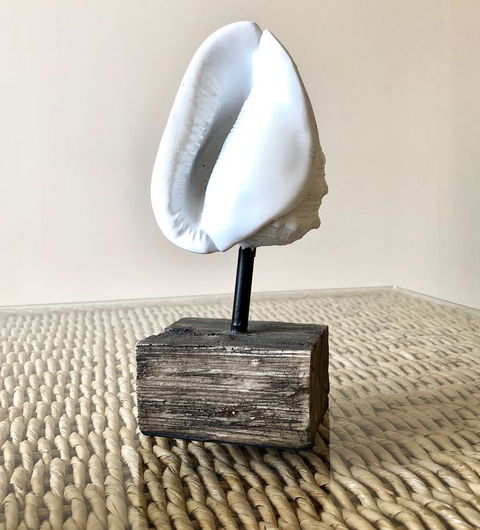 Sea Shells On Banyan Apartment - Accommodation VIC 9