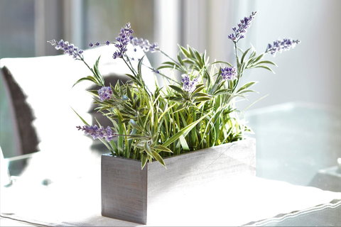 Tamara Temptation - Accommodation VIC 23