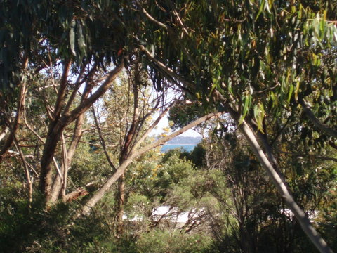 Aloha Ha Phillip Island - Accommodation VIC 24
