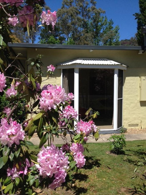 On The Banks - Accommodation VIC 20