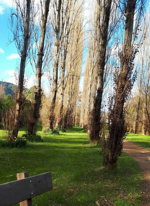On The Banks - Accommodation VIC 11