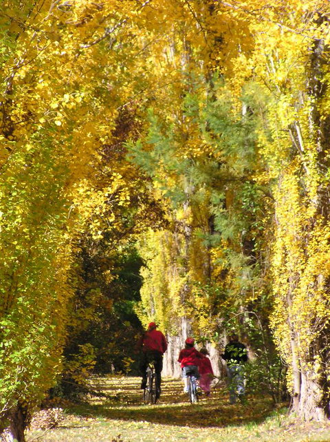 On The Banks - Accommodation VIC 15