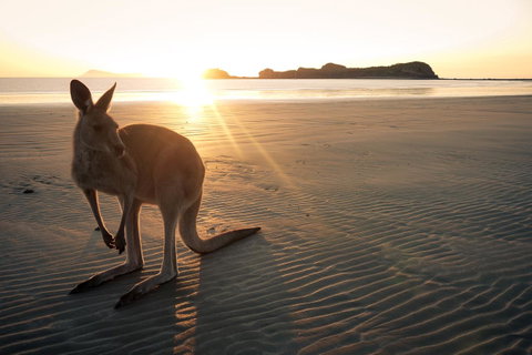 C-Scape Water Front Apartment - Accommodation VIC 11