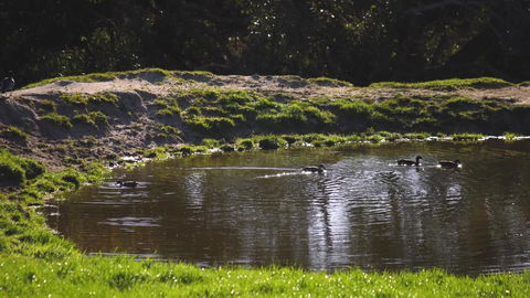 Limosa Rise - Accommodation VIC 15