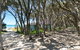 Fairhills - NEW LISTING, Beautifully Styled - thumb 12