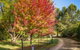 Bright Mystic Valley - thumb 23