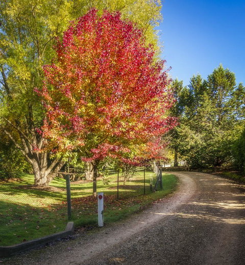 Bright Mystic Valley - Accommodation VIC 23