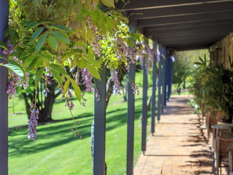 Bright Mystic Valley - Accommodation VIC 22
