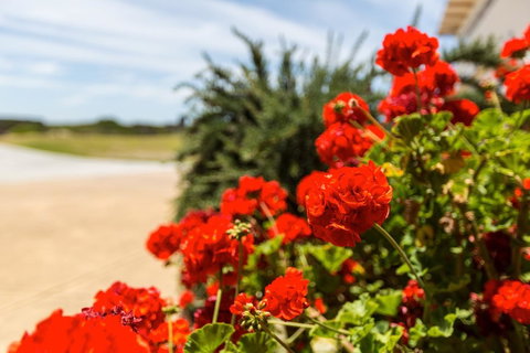 Cottages For Couples - Accommodation VIC 13