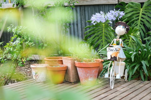 Miss Pym's Cottage - Accommodation VIC 7