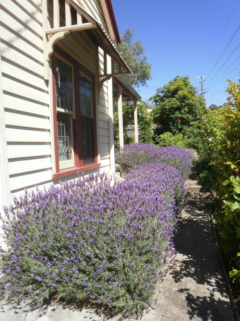 Miss Pym's Cottage - Accommodation VIC 44