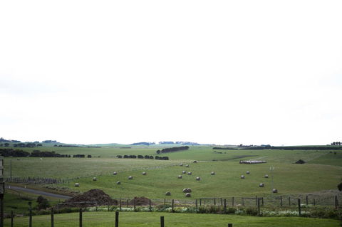 Stunning Waterfront Only 10 Minutes To Phillip Island - FREE EV UNIT 7kW For Electric Cars - Pet Friendly, Fireplace FREE WIFI Wine & Chocolates - Accommodation VIC 10