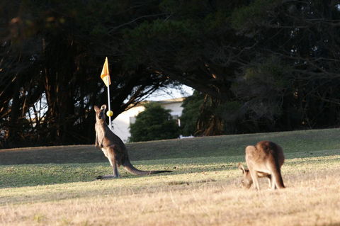 Lakeside At Mallacoota - Accommodation VIC 37