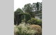 The Greenhouse - thumb 1