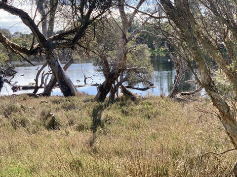 The Lake House - Accommodation VIC 0