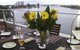 The Point Mandurah Apartment - thumb 2