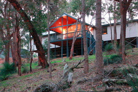 Treehouse - 3 Acre Elevated Nature Setting - Accommodation VIC 3