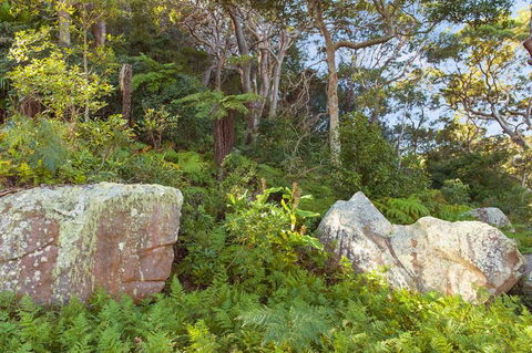 Treehouse Palm Beach - Accommodation VIC 2