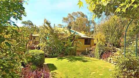 Treetops Escape - Accommodation VIC 2