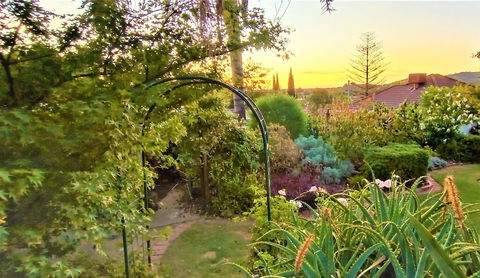 Treetops Escape - Accommodation VIC 1