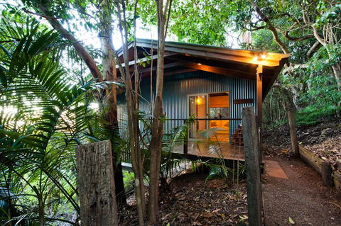 Treetops Seaview Montville - Accommodation VIC 0