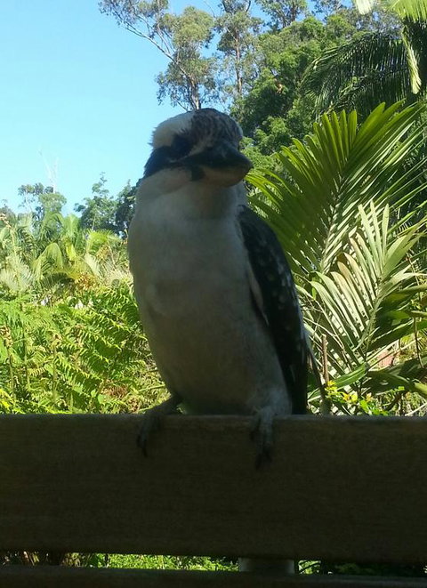 Tropic Oasis - Accommodation VIC 3