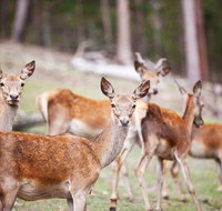 Villa Cervi Property - Accommodation VIC