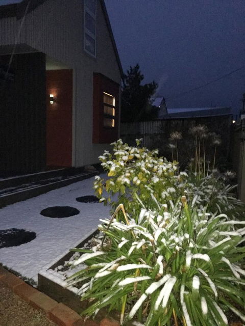 Daydream Cottage - Accommodation VIC 17