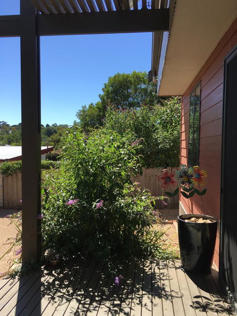 Daydream Cottage - Accommodation VIC 10