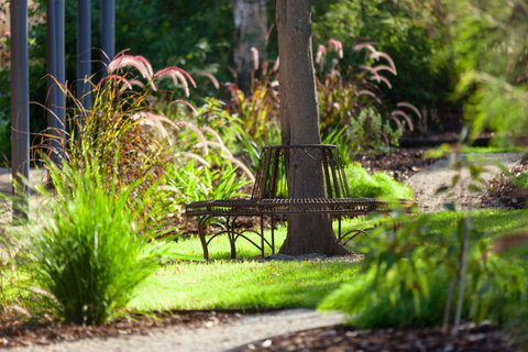 Blazing Stump Motel & Suites - Accommodation VIC 35