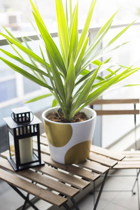 Complete Host 50 Claremont St Apartments - Accommodation VIC 6