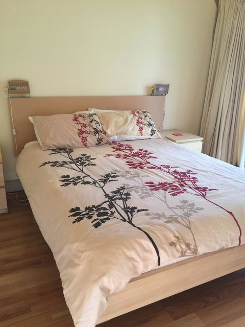 The Albion Motel Castlemaine - Accommodation VIC 37