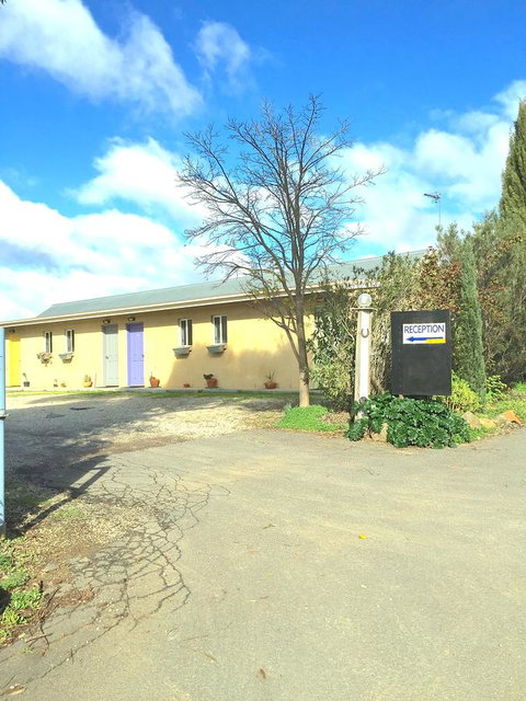 The Albion Motel Castlemaine - Accommodation VIC 4